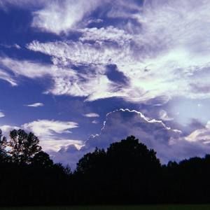 Meet your Posher, Shelly